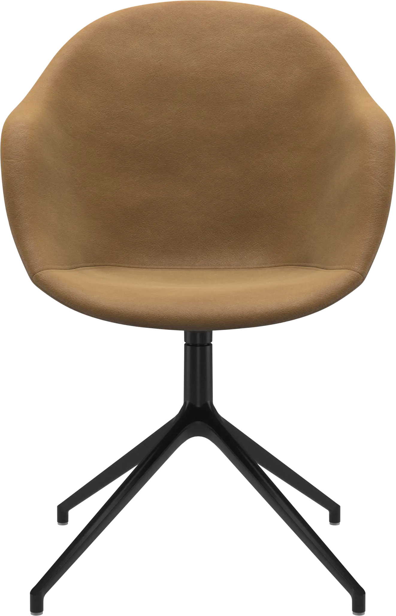 1245507_PNG-Web 72dpi.png?